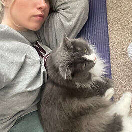 Mobilates member lying down cuddling a fluffy grey cat